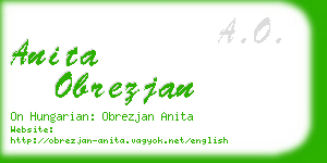 anita obrezjan business card